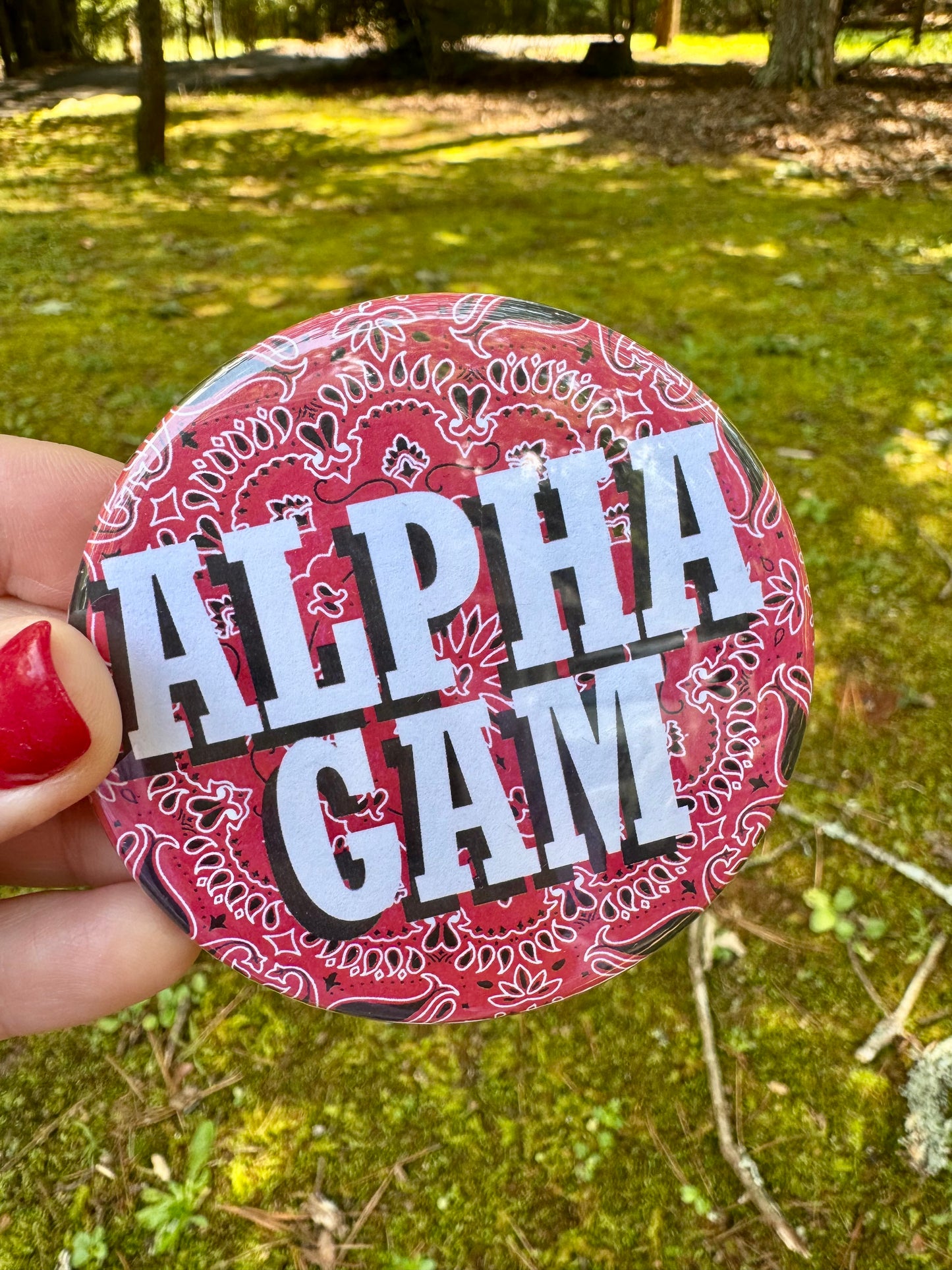 Alpha gam sorority pins