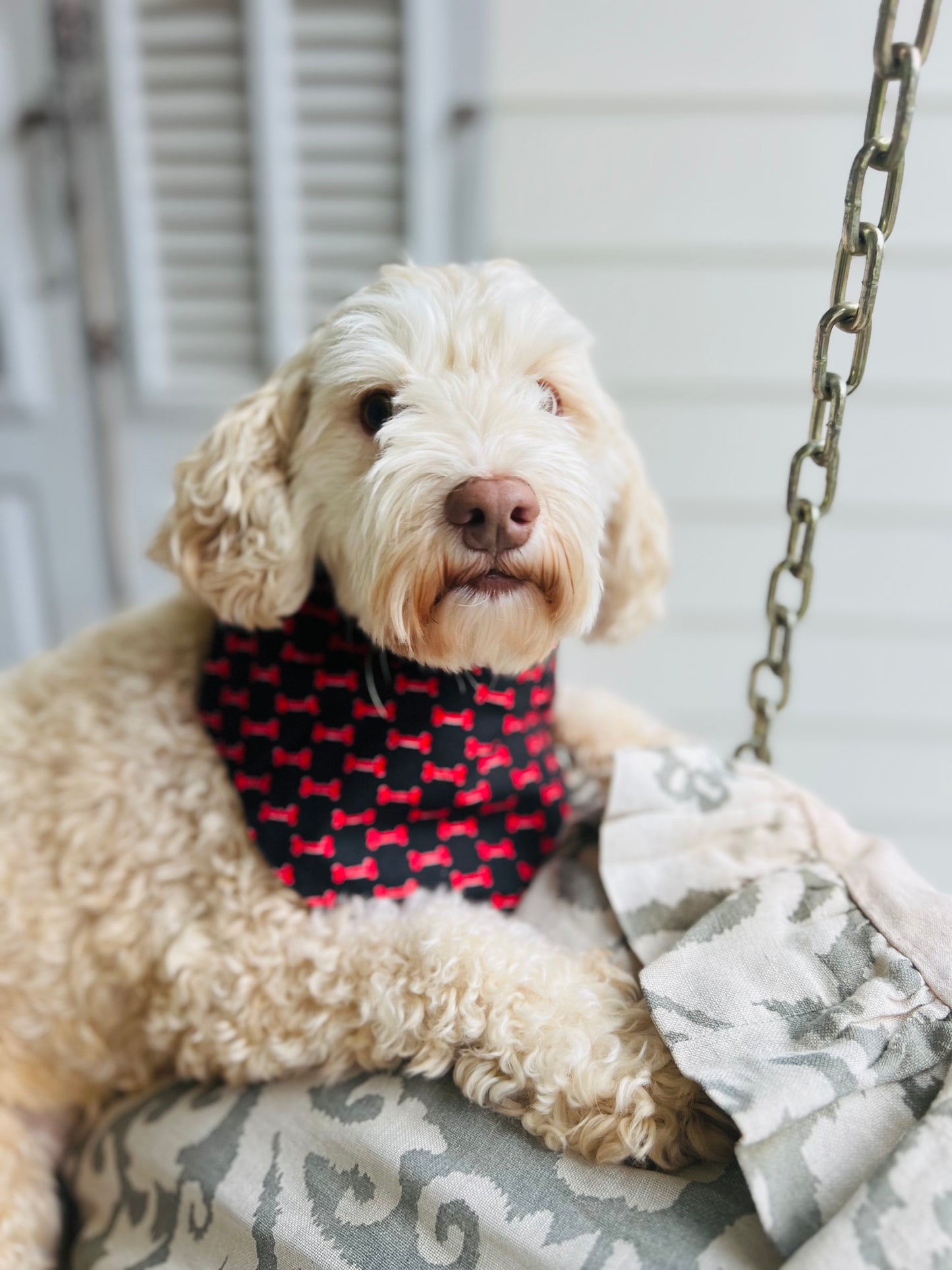 Reversible dog bandana red and black