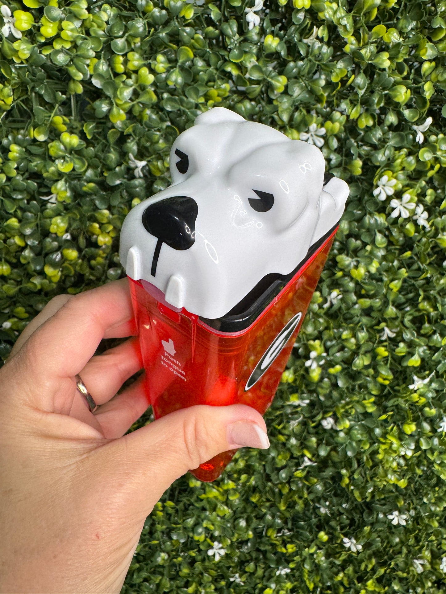 Drink in the box dawgs