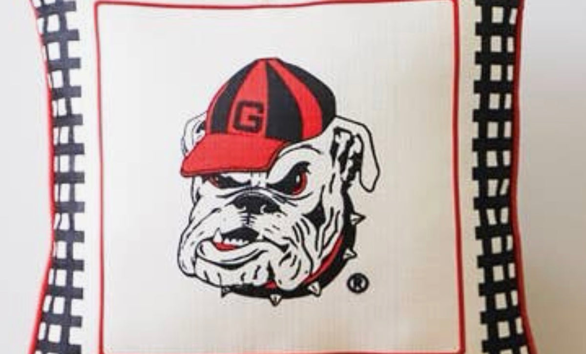 Mascot gingham licensed pillow