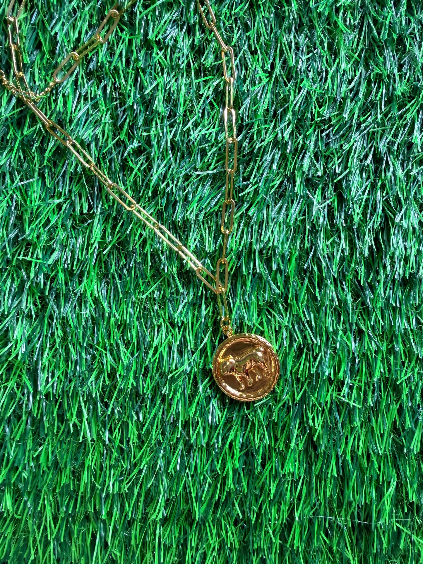 Lisi lerch dawg  necklace coin