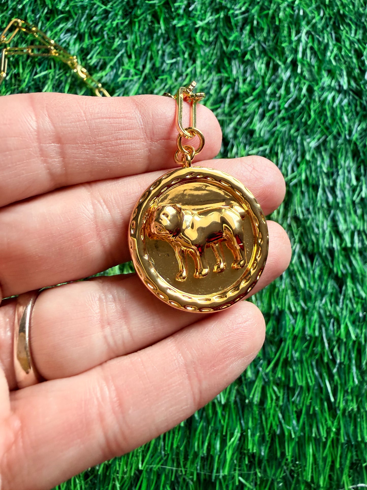 Lisi lerch dawg  necklace coin