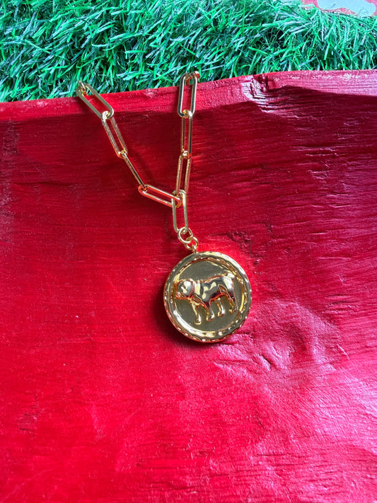 Lisi lerch dawg  necklace coin